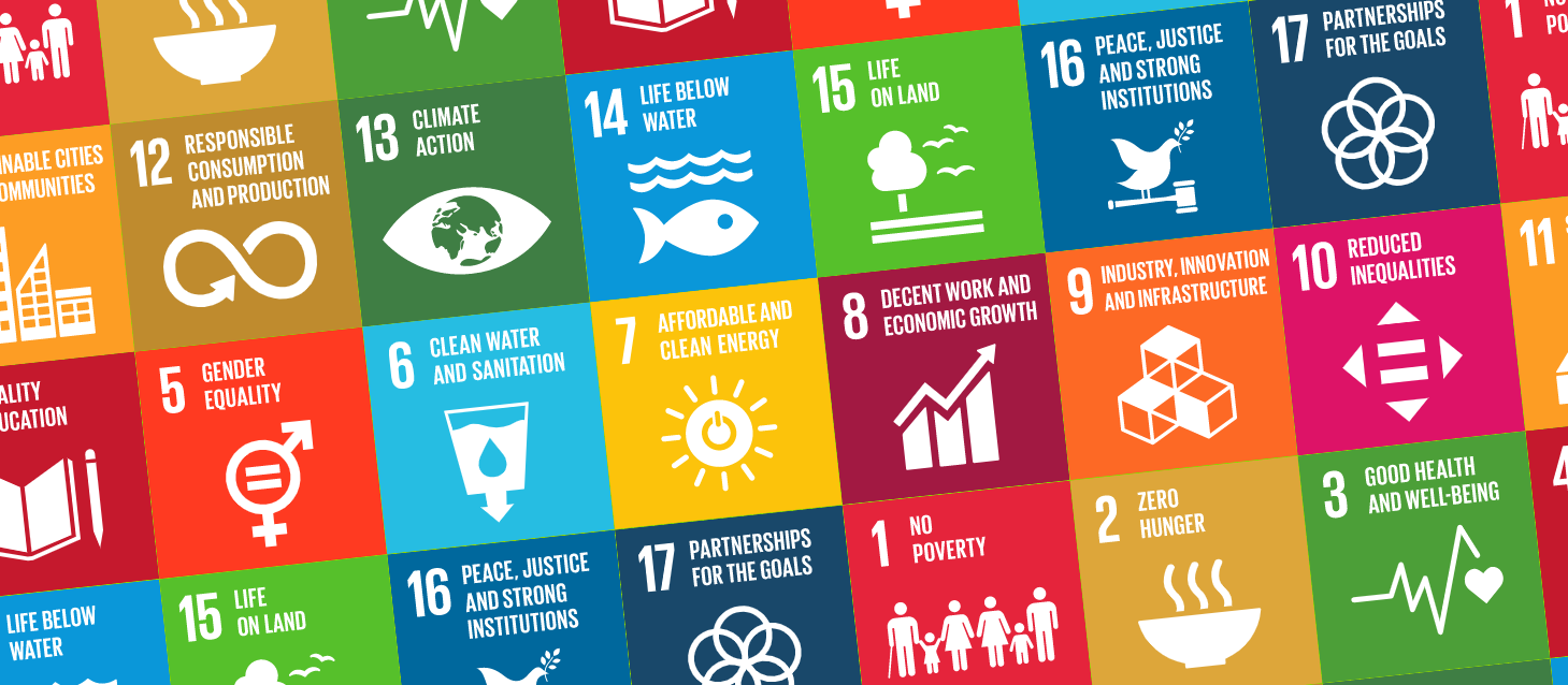 Sustainable Development Goals | Norfolk Community Foundation